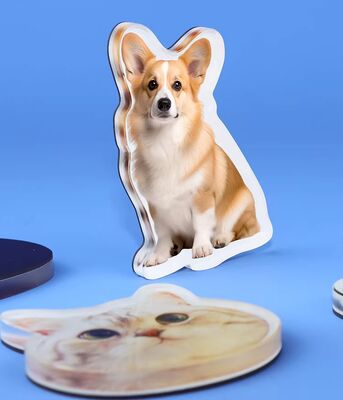 خرید هدیه خوش شانسی طراحي سفارشي طراحي پالتو آکریلیک یخچال مغناطيس جذاب انیمیشن سفارشی هولوگرافیک برچسب پلاستیکی online manufacture