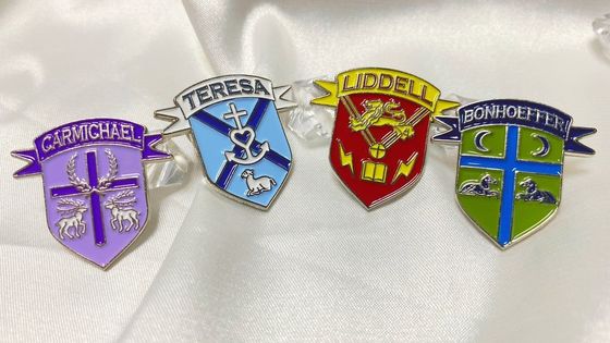 2d 3d Die Cast Sports Custom Lapel Pins انیمیشن نرم سخت کارتونی لپل پین